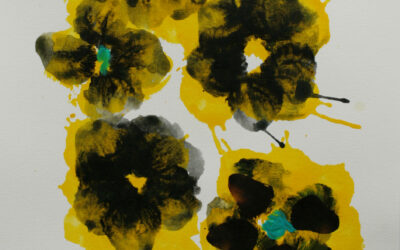 anemone-1