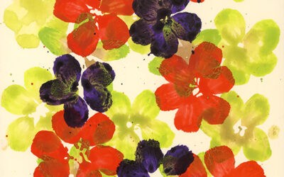 anemone-2