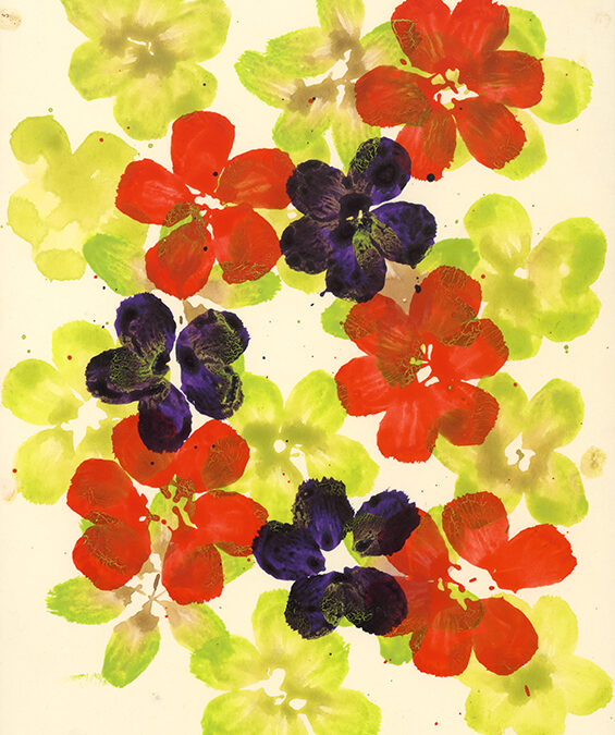 anemone-2